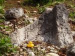 metate, Mexico