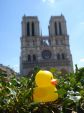 Paris, Notre Dame, France