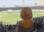 Mumbai (Bombay) Cricket Ground, India