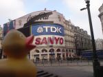 Piccadilly Circus, London, Great Britain