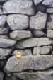 Scafell pike, Great Britain