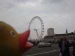 Millenium Eye, London, Great Britain