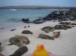 Galapagos Islands, Ecuador