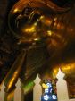 Wat - pho, Bangkok, Thailand