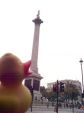 Nelson's Column, London, Great Britain