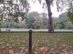 St James's Park, London, Great Britain