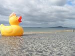 Mairangi Bay, New Zealand