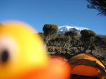 Kilimanjaro, Tanzania