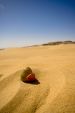 White Desert, Egypt